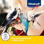Vitakraft VitaSmart Egg Food for Birds 1.1lb