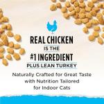 Purina Cat Chow Indoor Natural Dry Cat Food