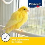 Vitakraft VitaSmart Egg Food for Birds 1.1lb