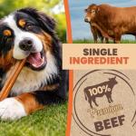 Purposeful Pup Bully Stick Dog Treats - 10 Pack