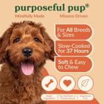 Purposeful Pup Bully Stick Dog Treats - 10 Pack