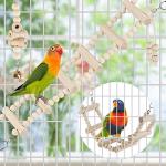 Colorful Parrot Swing and Climbing Perch Toys