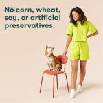 Jinx Kibble Sauce for Dogs - Beef Bone Broth