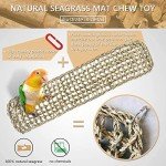 Seagrass Bird Mat and Chew Toy Hammock