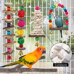 Wooden Bird Perch and Toy Set for Small Birds