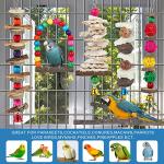 Wooden Bird Perch and Toy Set for Small Birds