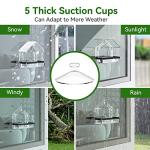 Clear Window Bird Feeder with Strong Suction Cups
