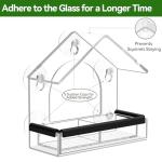 Clear Window Bird Feeder with Strong Suction Cups