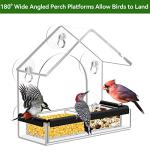 Clear Window Bird Feeder with Strong Suction Cups