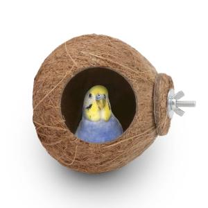 Coconut Nest Swing for Birds and Small Pets