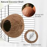 Coconut Nest Swing for Birds and Small Pets