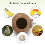 Coconut Nest Swing for Birds and Small Pets