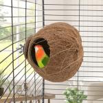 Coconut Nest Swing for Birds and Small Pets
