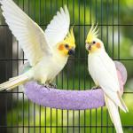 U-Shape Washable Parrot Perch for Budgies, Cockatiels