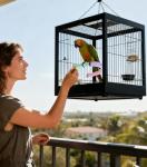 U-Shape Washable Parrot Perch for Budgies, Cockatiels