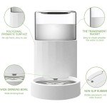 Automatic Pet Water Dispenser - 3L Capacity