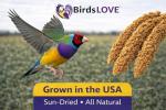 Millet Tips & Tails for Happy Birds, 1lb
