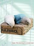 Paper Bird Toy Platform for Small to Medium Birds