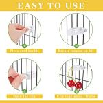 Bird Cage Food Holder Clips for Parrots and Budgies