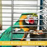 Bird Cage Food Holder Clips for Parrots and Budgies