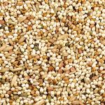 Orange Flavor Bird Food Mix for Parakeets & Finches