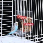 Automatic No-Mess Bird Feeder for Parrots