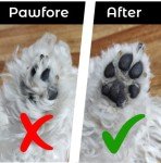 Mini Cordless Dog & Cat Grooming Clippers