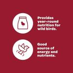 Wild Bird Food Seed Blend - 5 lbs