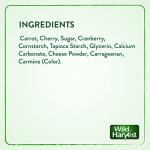 Wild Harvest Fruit Kabobs for Birds - 6 Count