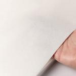 100PCS Disposable Bird Cage Liner Papers