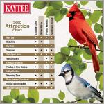 Kaytee No Mess Wild Bird Food Seed 9.75 lb