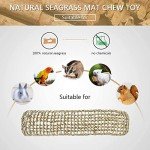 Seagrass Bird Mat and Chew Toy Hammock