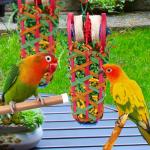 Kyouki Bird Chewing Toys for Parrots - 2 PCS