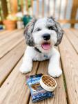 Roofle Dog Treats - Tasty Snack for Pups