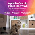 SmartyKat Catnip Bubbles for Playful Cats
