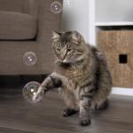 SmartyKat Catnip Bubbles for Playful Cats