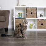 SmartyKat Catnip Bubbles for Playful Cats