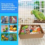 Colorful Foraging Toy Box for Parrots