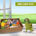 Colorful Foraging Toy Box for Parrots