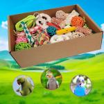 Colorful Foraging Toy Box for Parrots
