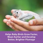 Kaytee Exact Baby Bird Handfeeding Formula, 18 oz