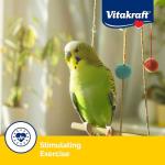 Vitakraft Crunch Sticks for Parakeets - 12 Count