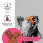 BIXBI Liberty Healthy Dog Jerky Treats - Beef
