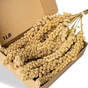 Jmxu's Natural Spray Millet Treat for Birds