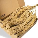 Jmxu's Natural Spray Millet Treat for Birds