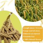 Jmxu's Natural Spray Millet Treat for Birds