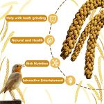 Jmxu's Natural Spray Millet Treat for Birds