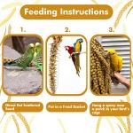 Jmxu's Natural Spray Millet Treat for Birds