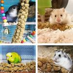 Jmxu's Natural Spray Millet Treat for Birds