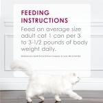 Purina Fancy Feast Wet Cat Food Variety Pack